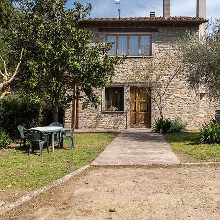 Agriturismo Il Ponte - Frantoio Vicchio Luaran gambar