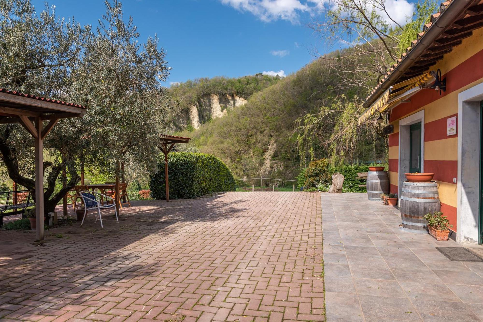 Agriturismo Il Ponte - Frantoio Vicchio Luaran gambar